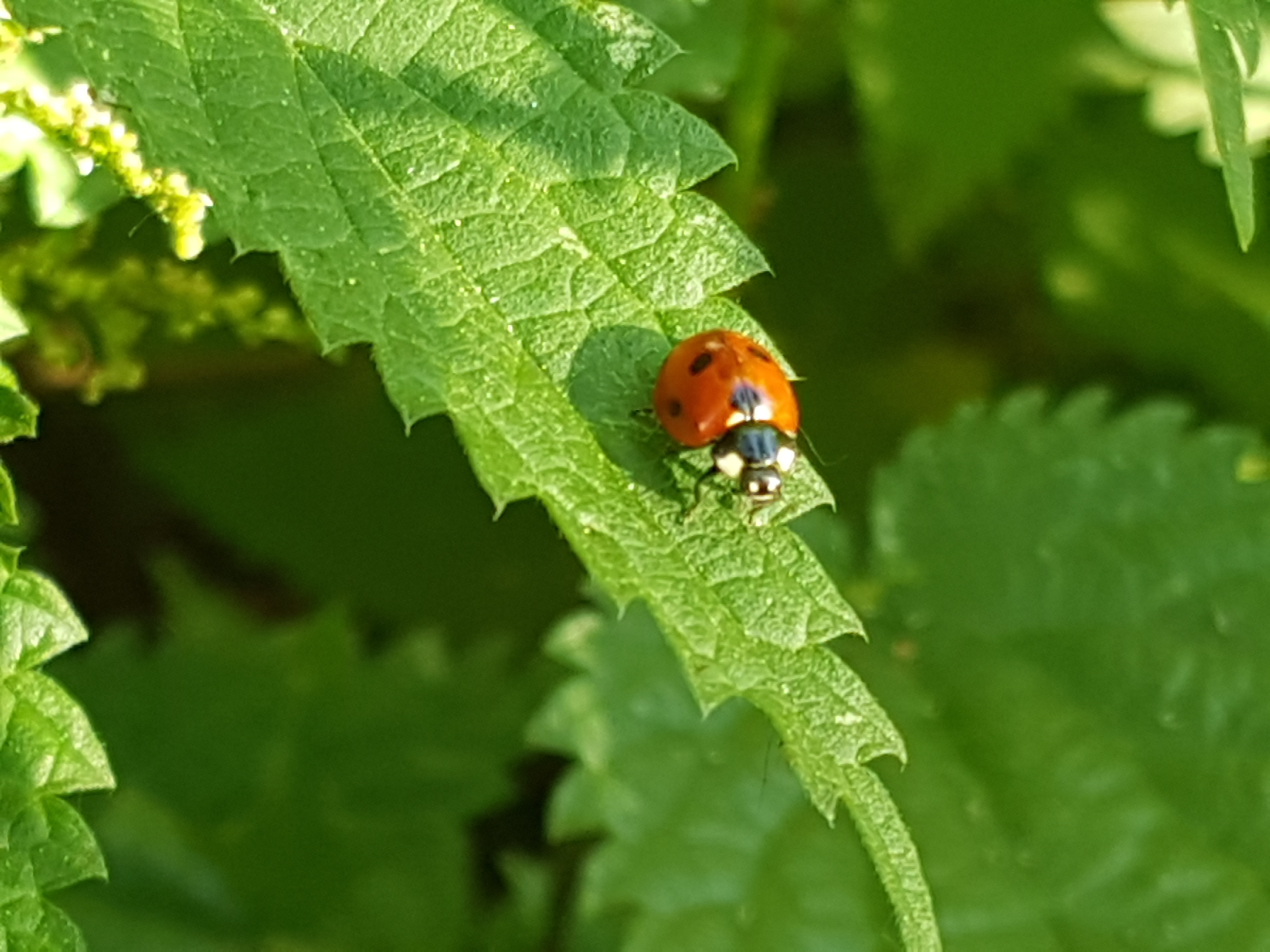 home-respect-environnement.jpg